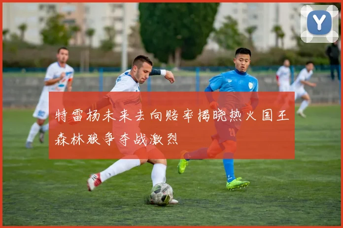 特雷杨未来去向赔率揭晓热火国王森林狼争夺战激烈