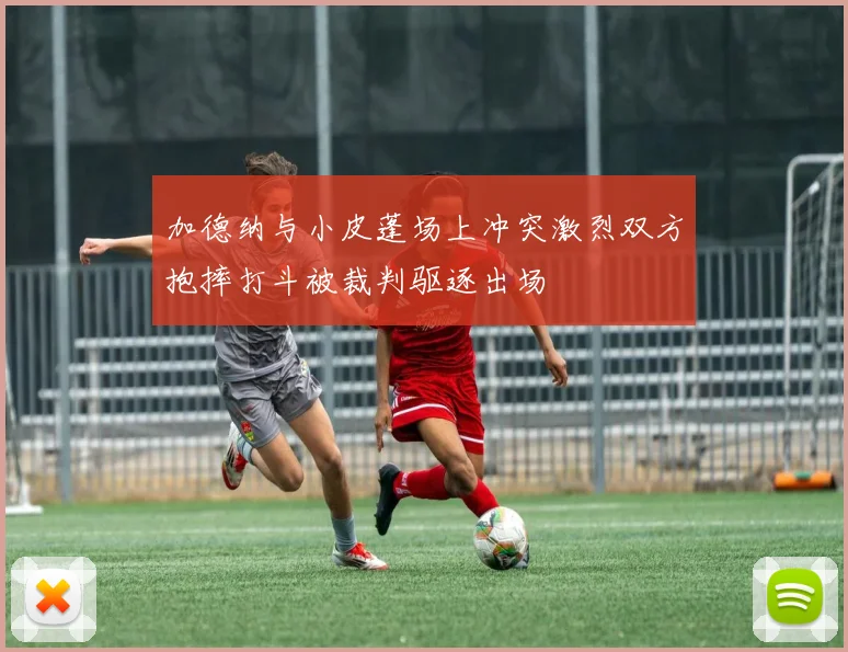 加德纳与小皮蓬场上冲突激烈双方抱摔打斗被裁判驱逐出场
