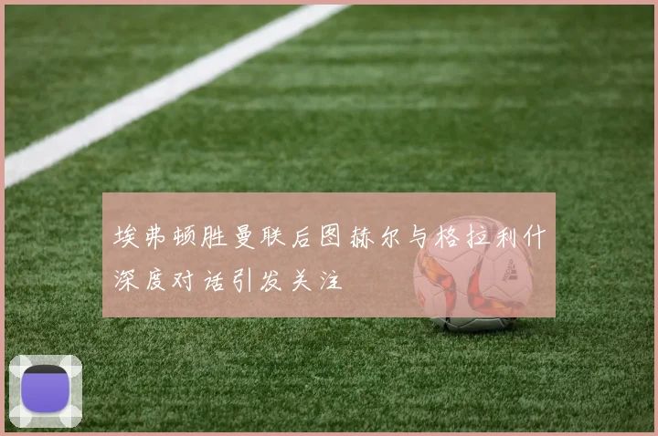 埃弗顿胜曼联后图赫尔与格拉利什深度对话引发关注